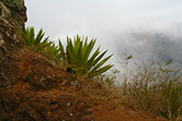 Kaapverdische eiland kaapverdië strand cauri reizen natuur zon zee vakantie vulkaan São  Vicente sao Nicolau Santo Antão antao Paúl cabo verde
